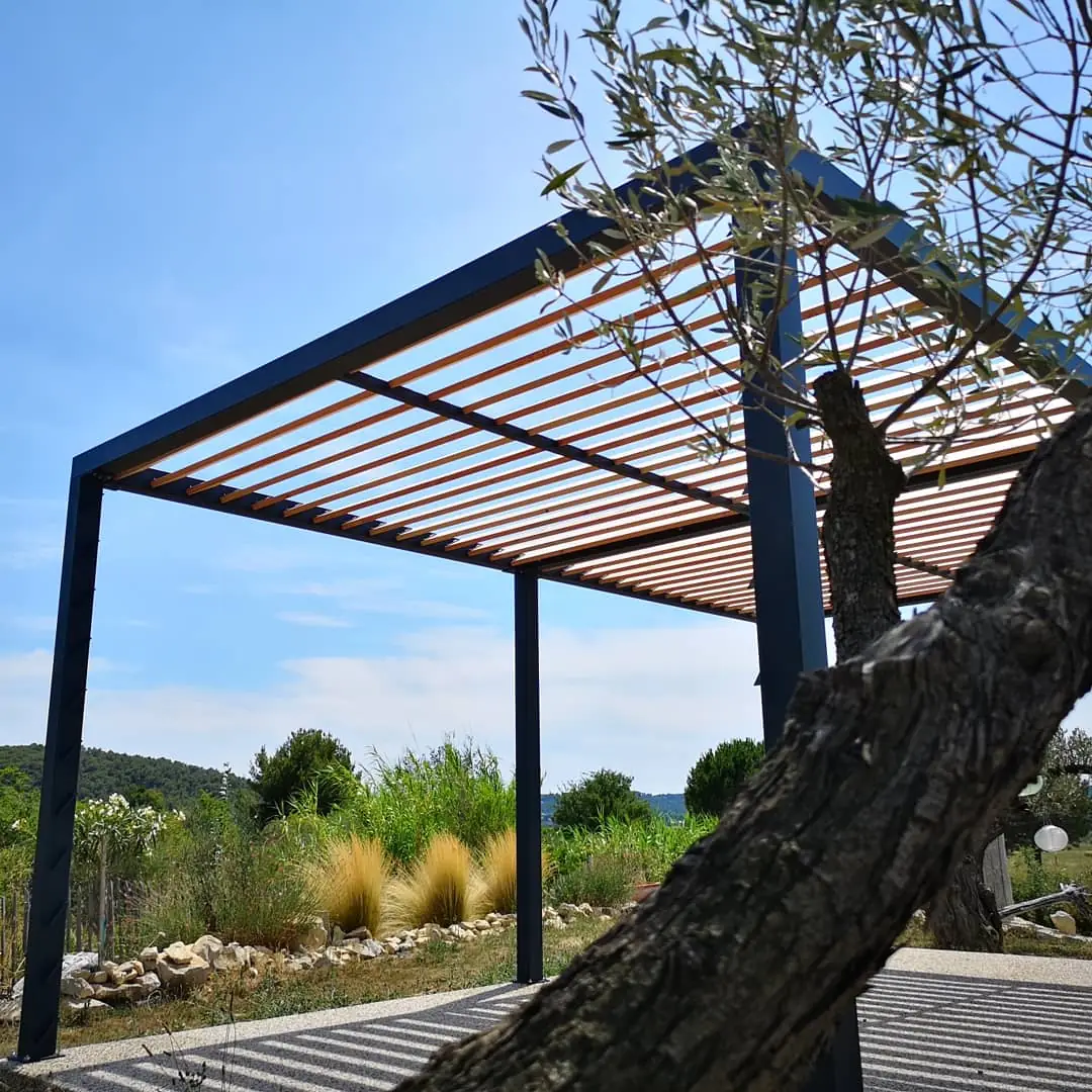 Pergola autoportante vue en contre-plongée derrière un tronc d'olivier, structure RAL 7016 et lames bois, 6 m de portée sans poteau intermédiaire, Caveirac
